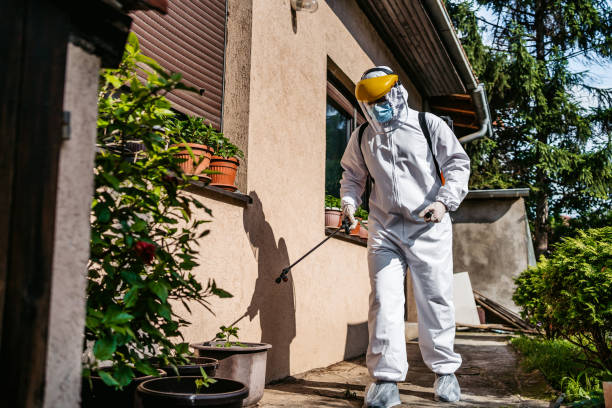 Best Exterminator Services  in Boyceville, WI