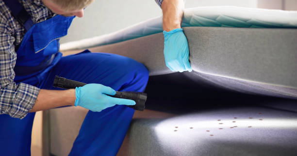 Best Pest Prevention Services  in Boyceville, WI
