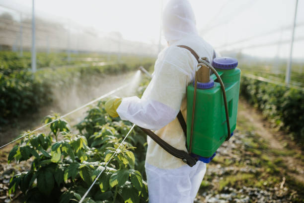 Best Ant Control Services  in Boyceville, WI